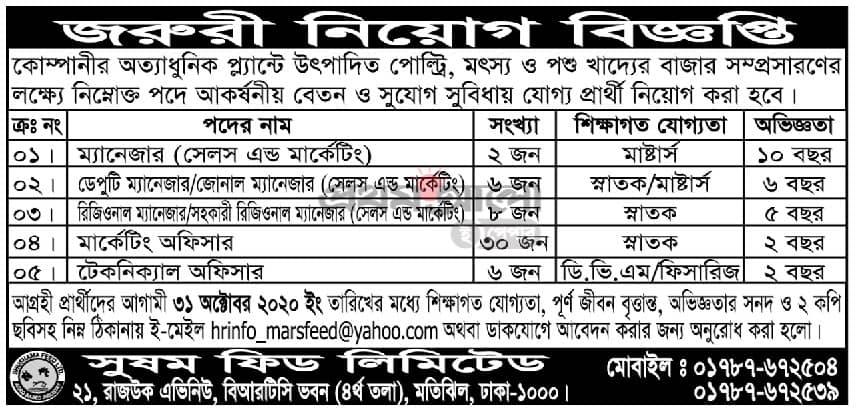 Marketing job in Bangladesh
